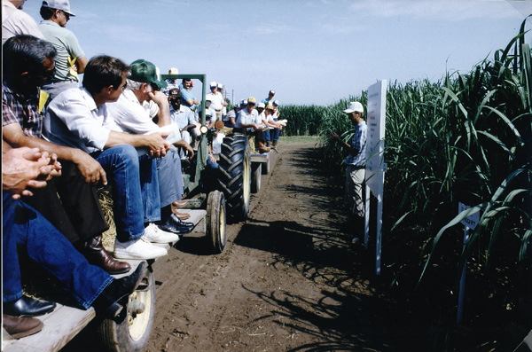 Dr. Jeff Hoy speaking to attendees at the 4th Annual LSU Area Sugarcane Field Day, July, 1986. Photograph by John Wozniak, LSU Agricultural Center