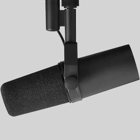 Shure microphone