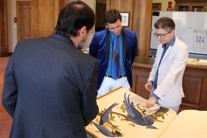 three men look and point at a bird illustration in a large book