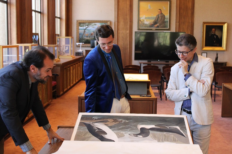 three men smile as they view an illustration of penguins