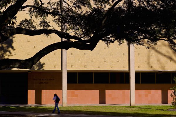 library outside