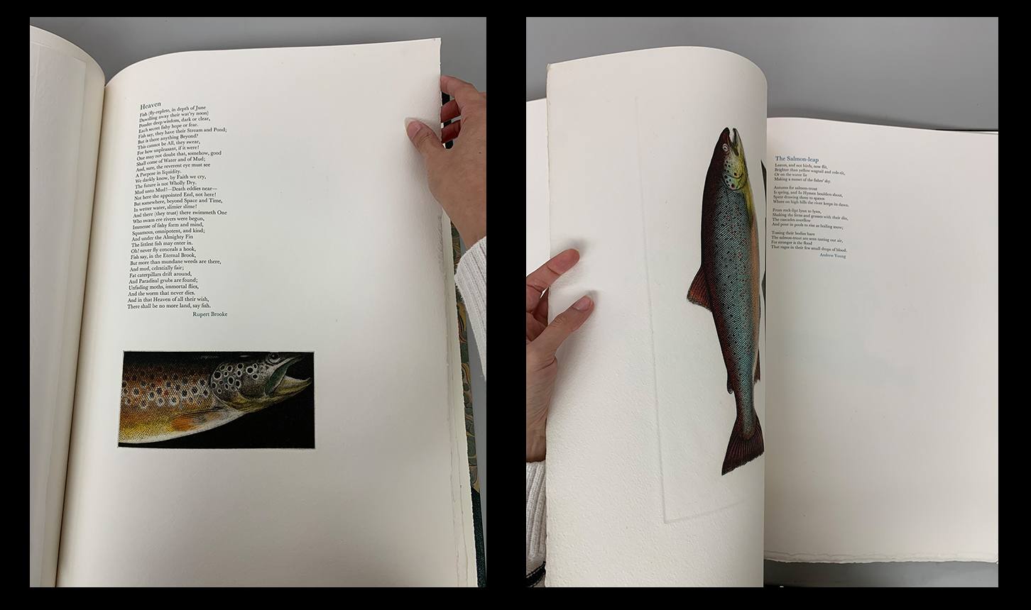 Interior pages from book Some Trout by D. R. Wakefield