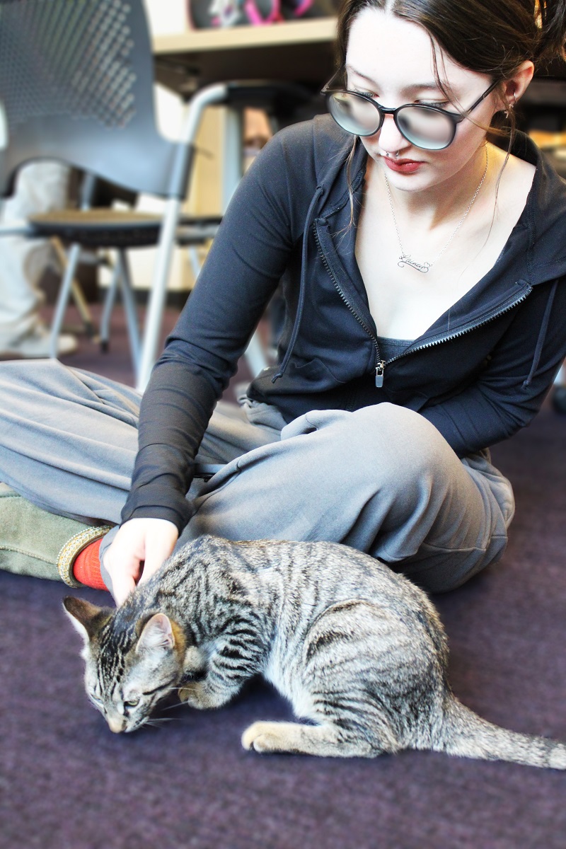 a woman pets a cat